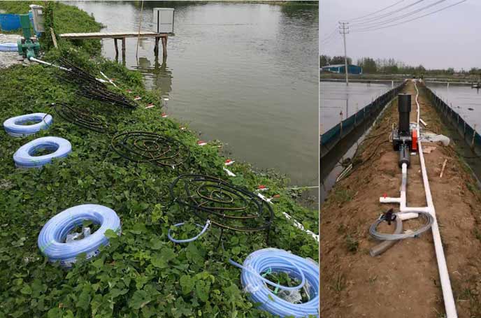 水产养殖中罗茨鼓风机曝氧气作用效果明显好