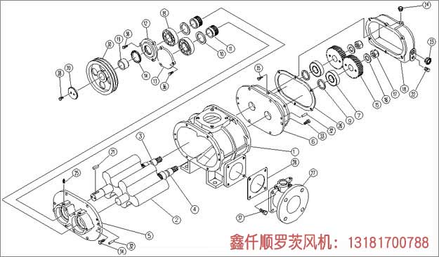 罗茨风机工作组成部件