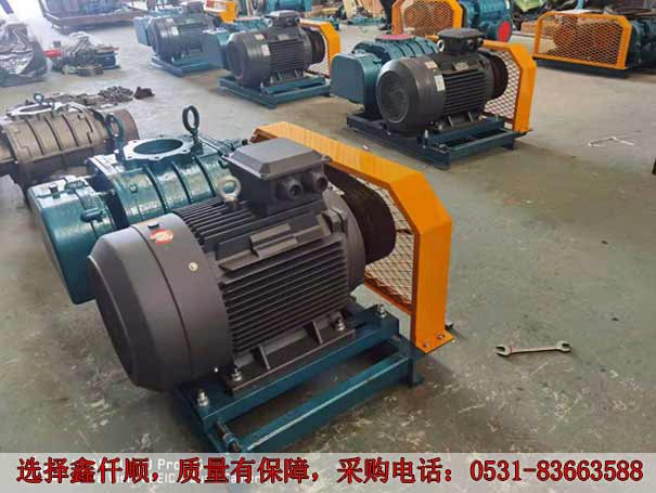 发货广西高压罗茨鼓风机XQSSR15030KW6台(图2)